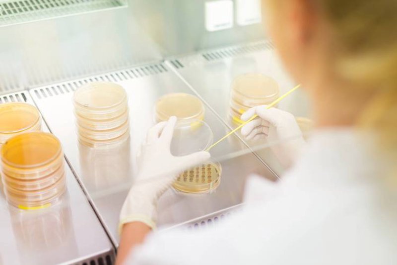 生物技术研发：引领未来医疗的新力量